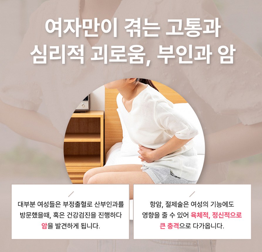 본문 내용을 보조하는 이미지