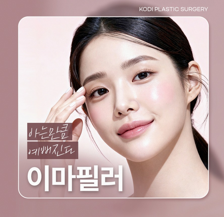 본문 내용을 보조하는 이미지