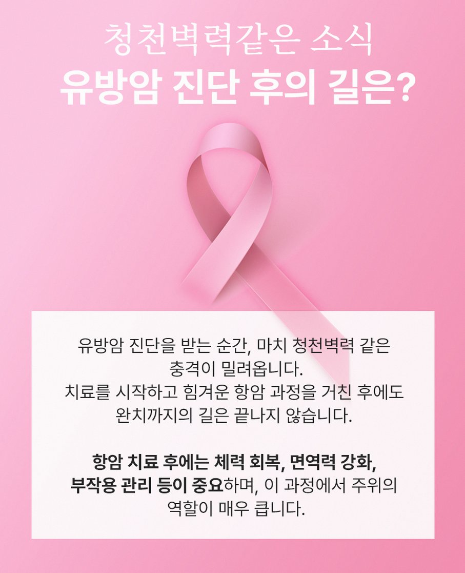 본문 내용을 보조하는 이미지