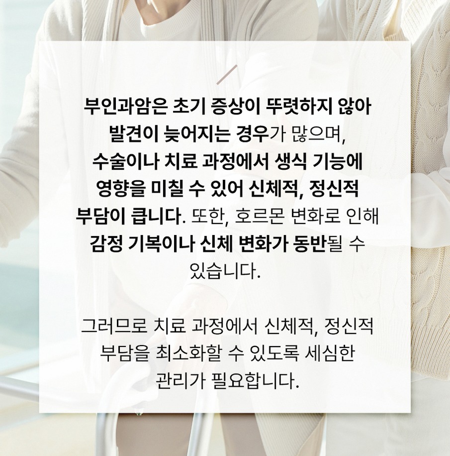 본문 내용을 보조하는 이미지