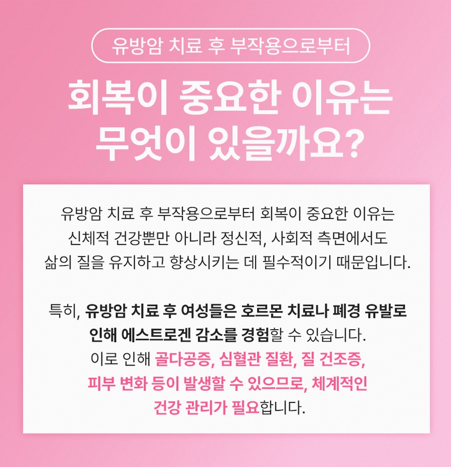 본문 내용을 보조하는 이미지