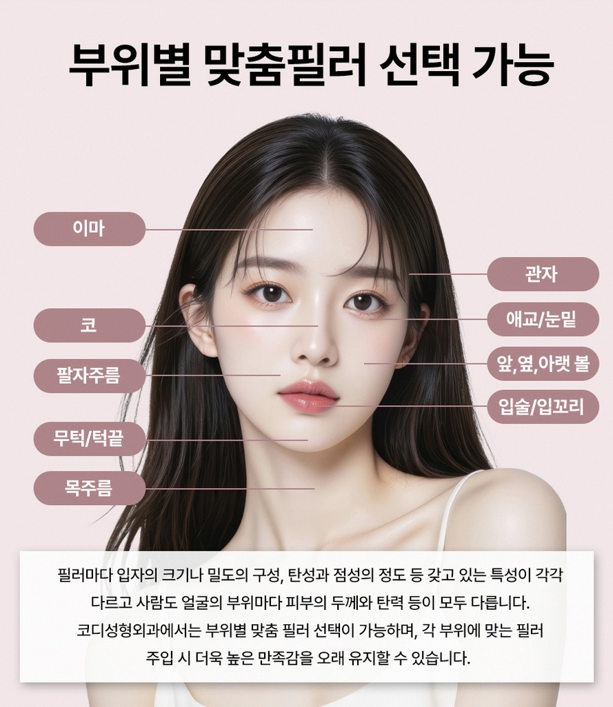 본문 내용을 보조하는 이미지