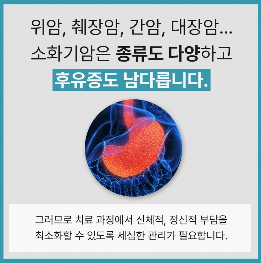 본문 내용을 보조하는 이미지