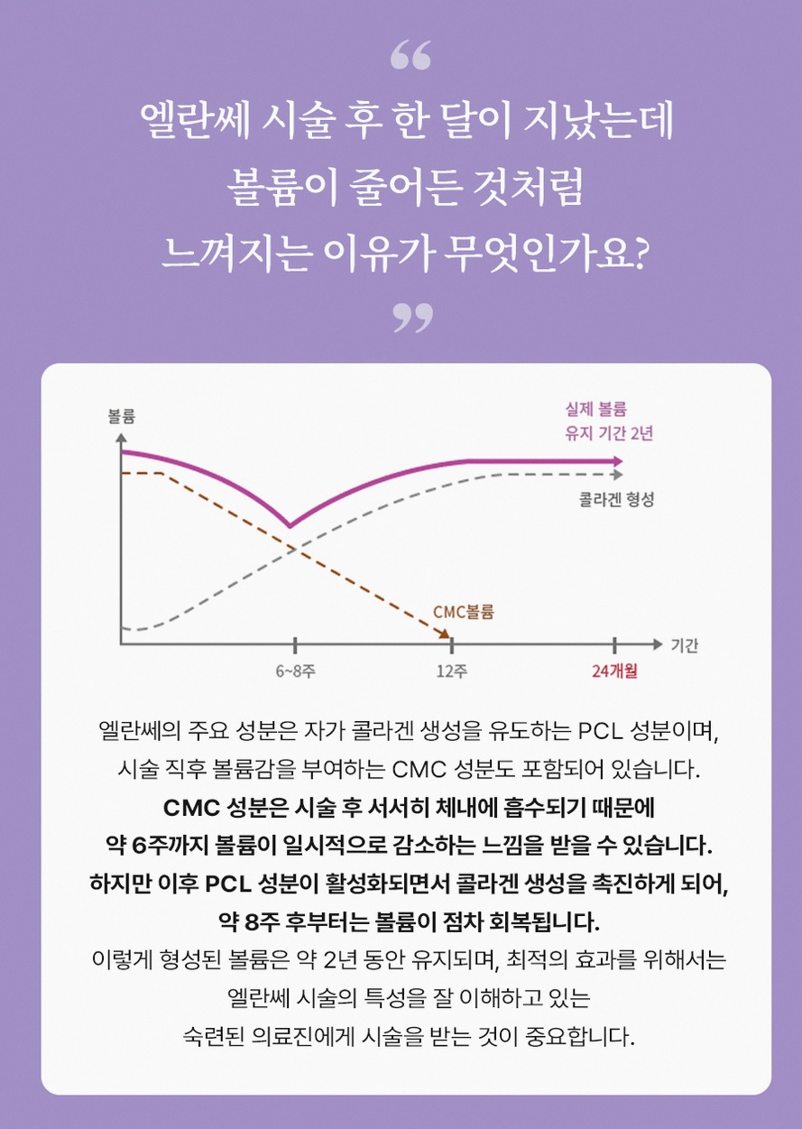본문 내용을 보조하는 이미지