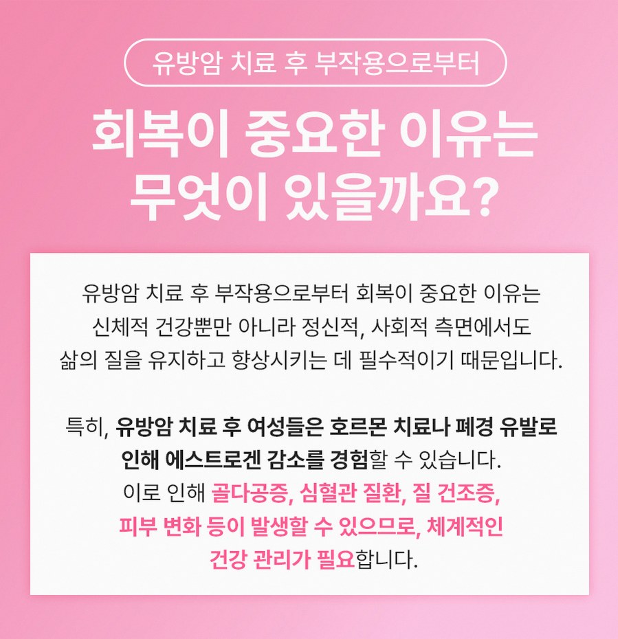 본문 내용을 보조하는 이미지
