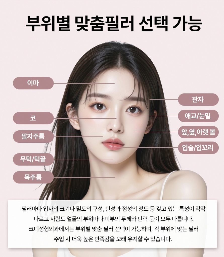 본문 내용을 보조하는 이미지