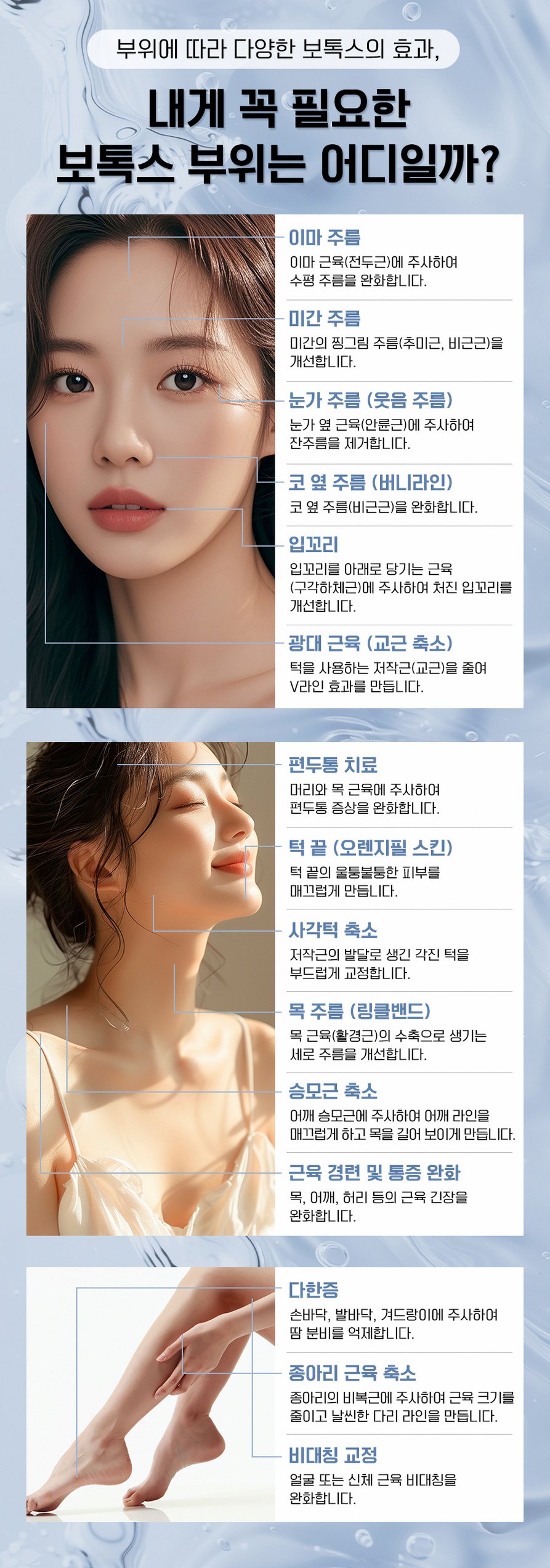 본문 내용을 보조하는 이미지