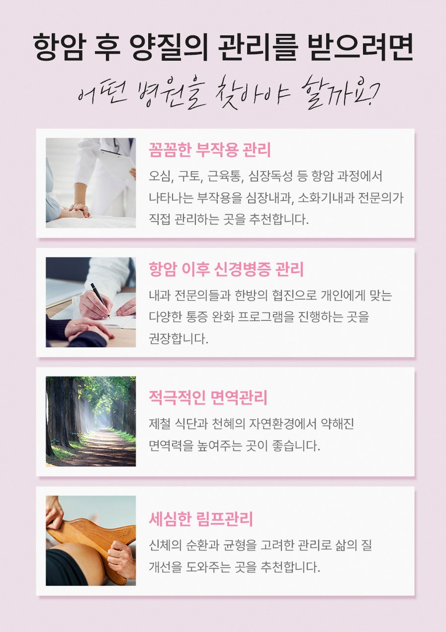 본문 내용을 보조하는 이미지
