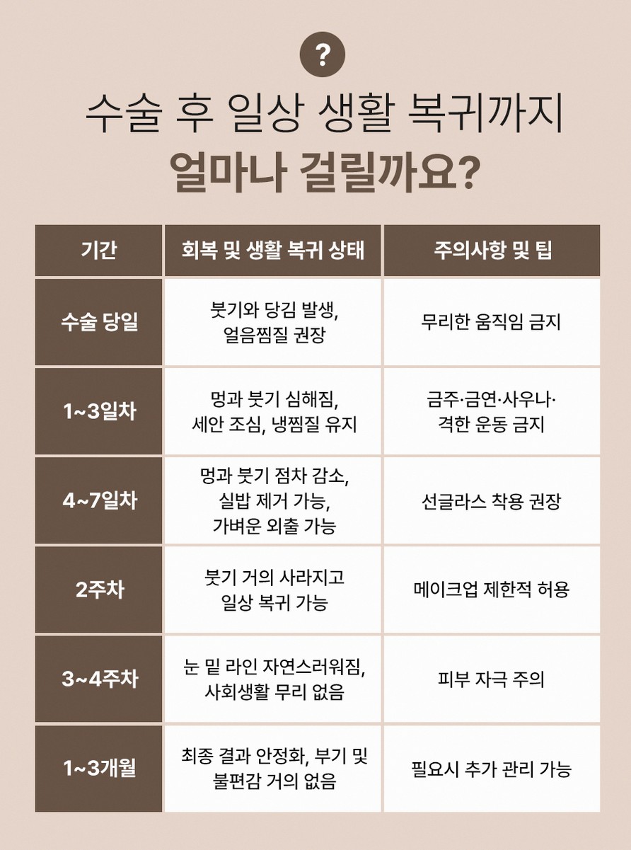 본문 내용을 보조하는 이미지