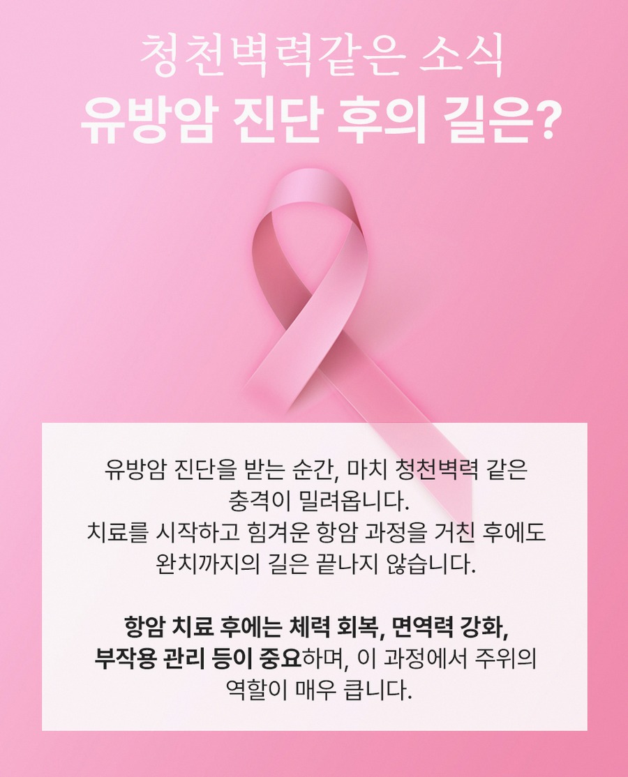 본문 내용을 보조하는 이미지