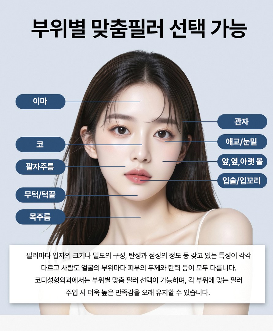 본문 내용을 보조하는 이미지