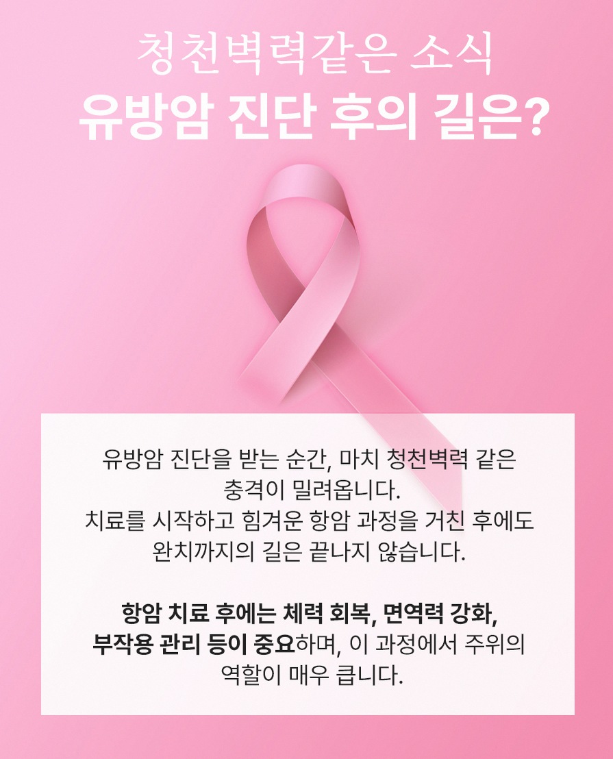 본문 내용을 보조하는 이미지