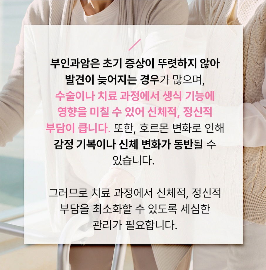 본문 내용을 보조하는 이미지