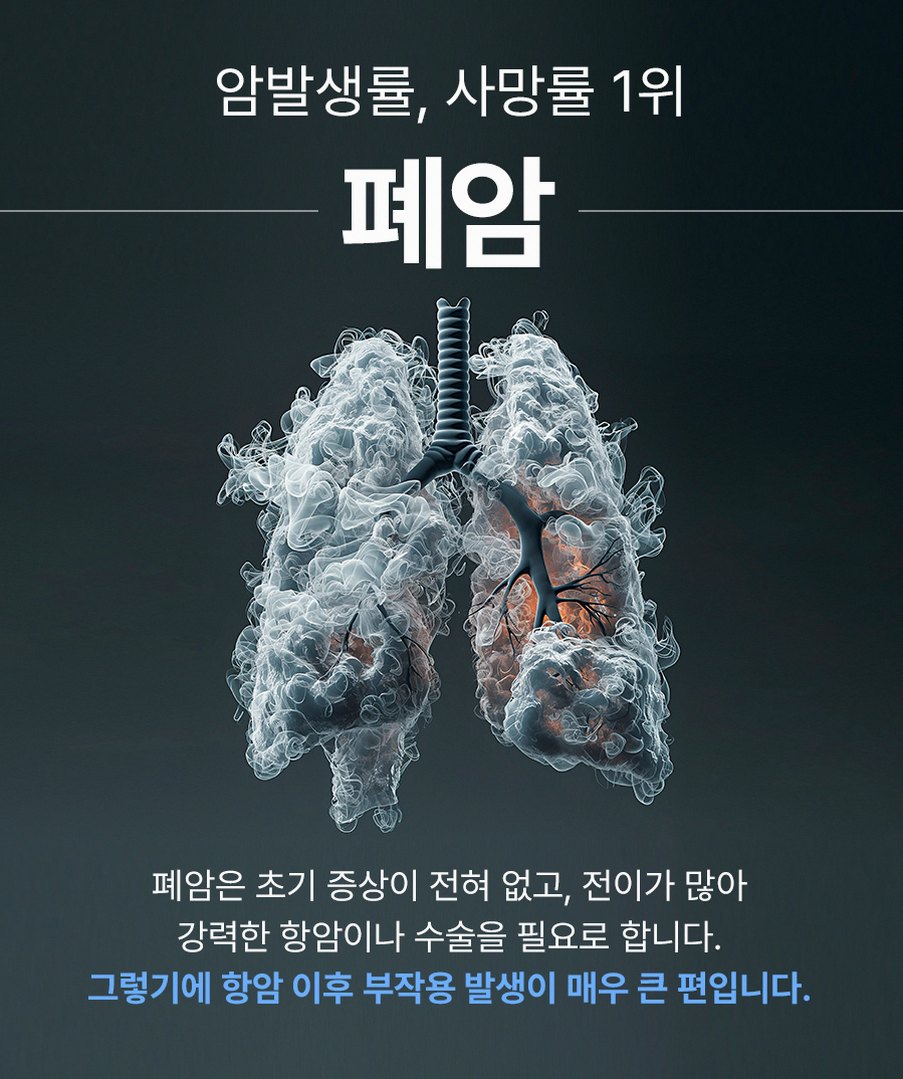 본문 내용을 보조하는 이미지