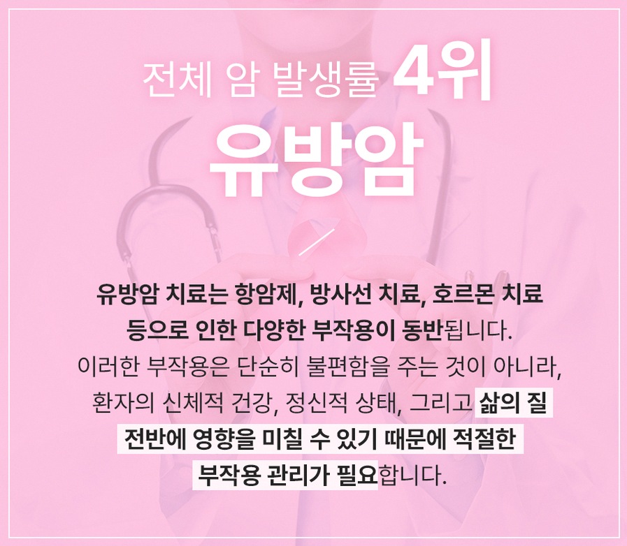 본문 내용을 보조하는 이미지