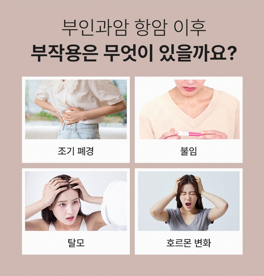 본문 내용을 보조하는 이미지
