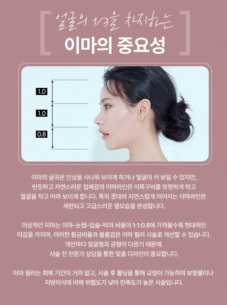 본문 내용을 보조하는 이미지