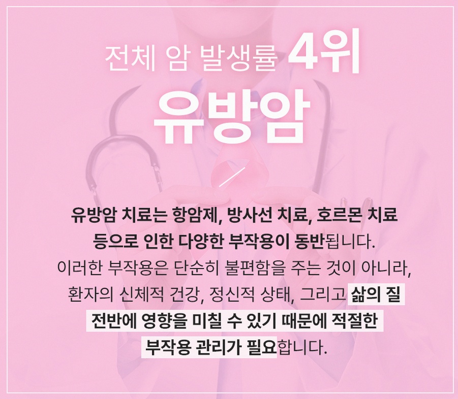 본문 내용을 보조하는 이미지