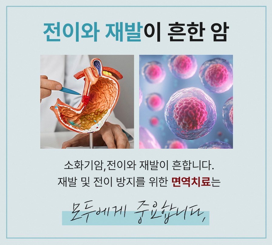 본문 내용을 보조하는 이미지