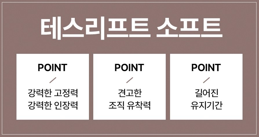 본문 내용을 보조하는 이미지