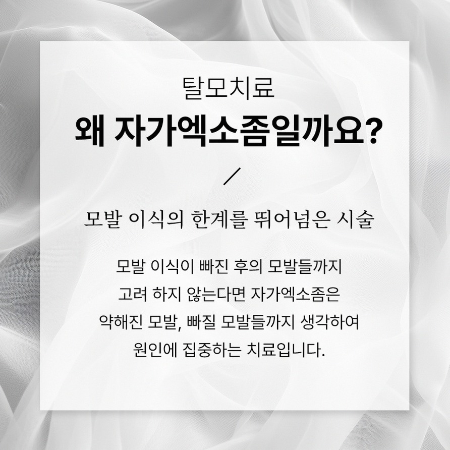 본문 내용을 보조하는 이미지