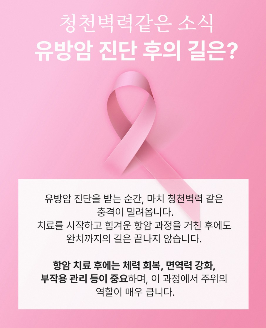 본문 내용을 보조하는 이미지