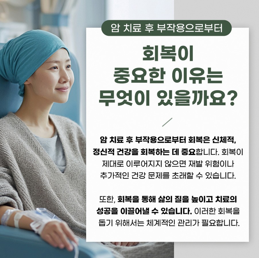 본문 내용을 보조하는 이미지