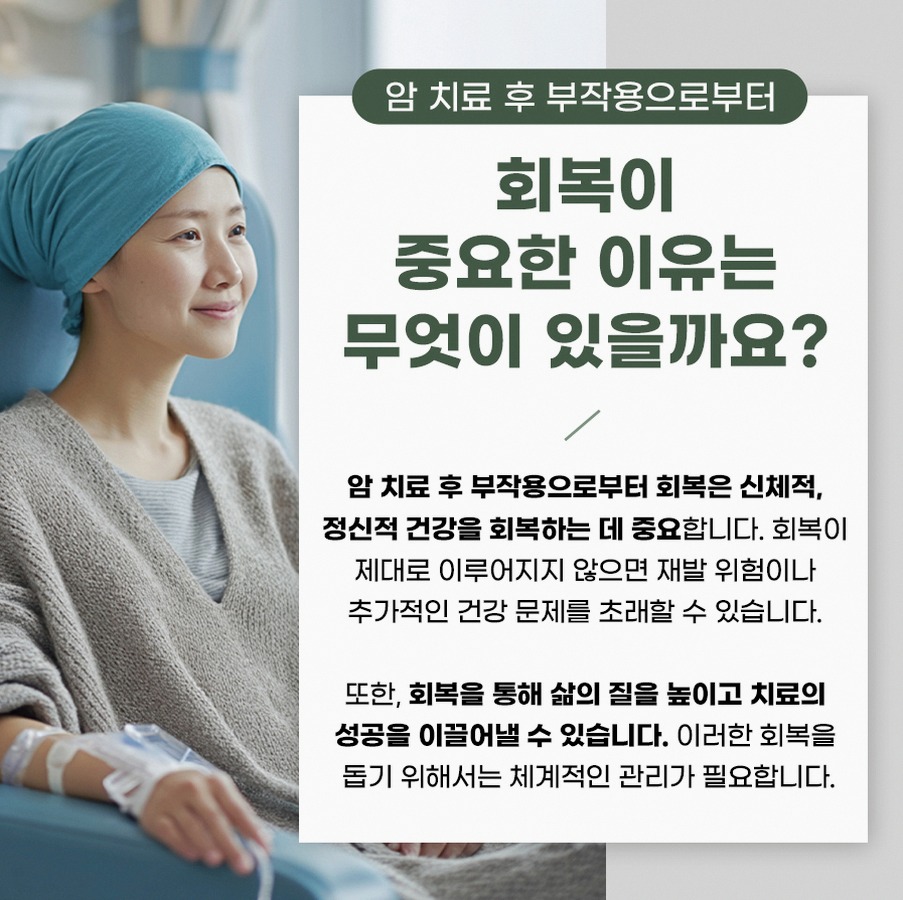 본문 내용을 보조하는 이미지