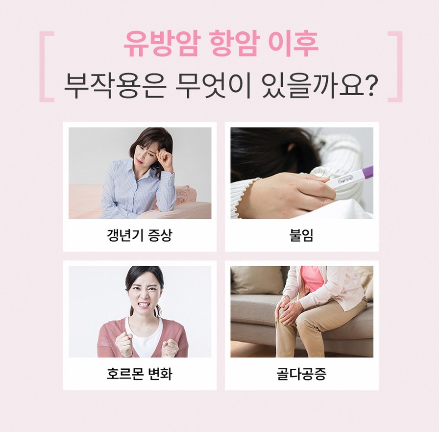 본문 내용을 보조하는 이미지