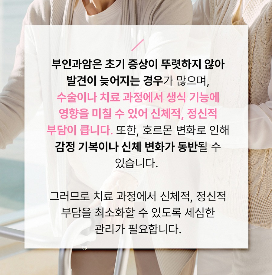 본문 내용을 보조하는 이미지