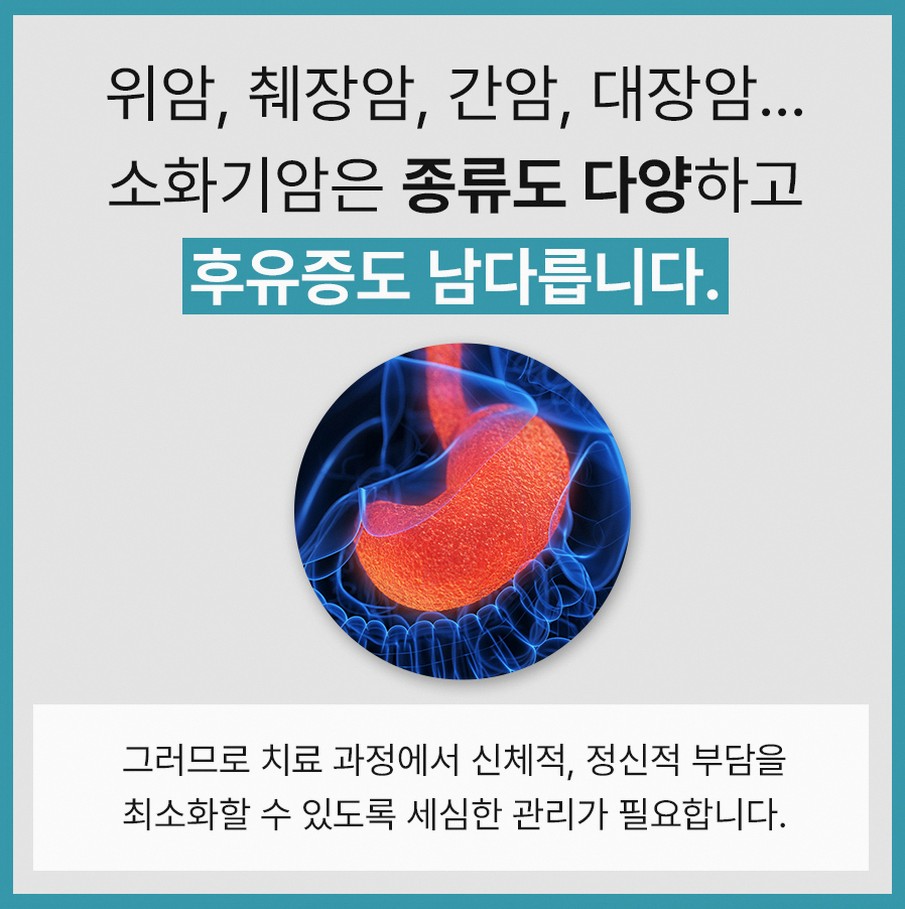 본문 내용을 보조하는 이미지