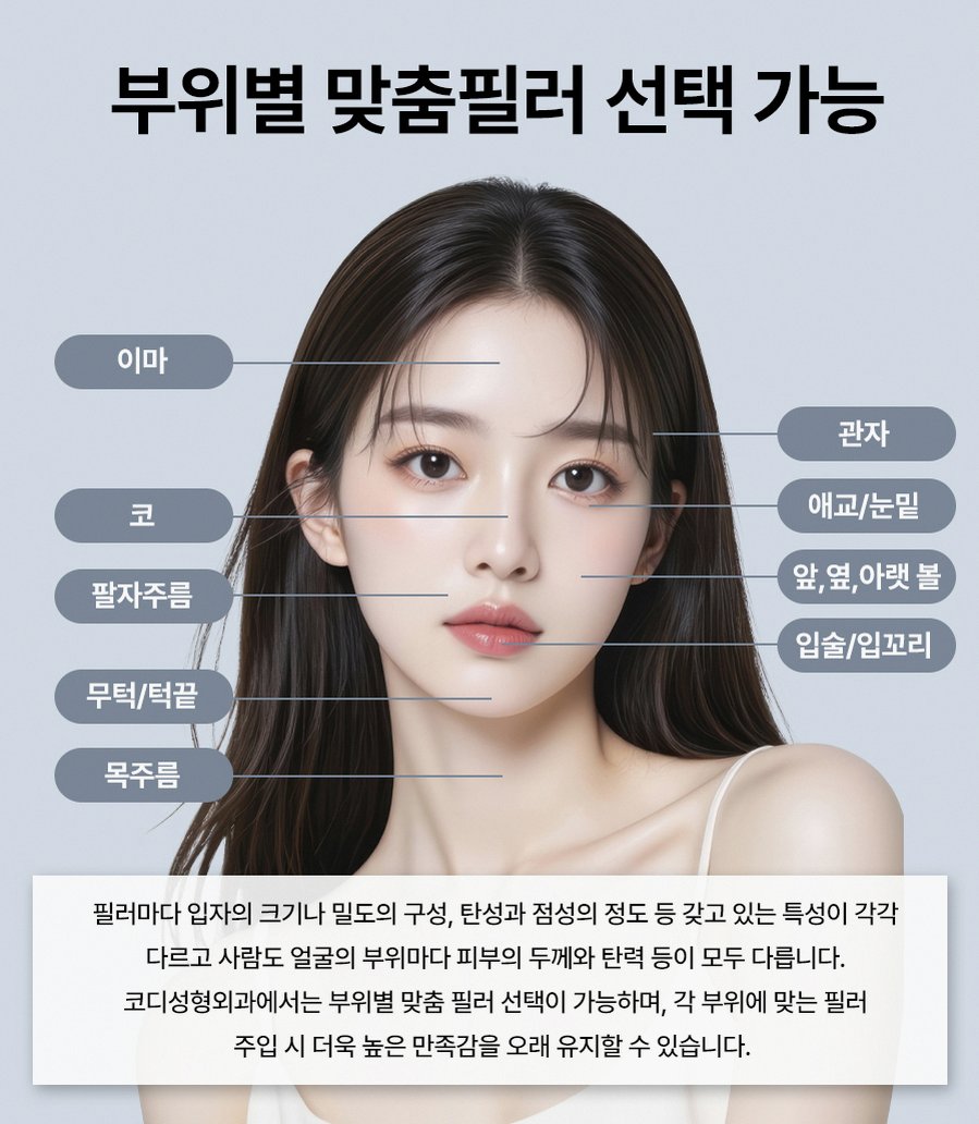 본문 내용을 보조하는 이미지
