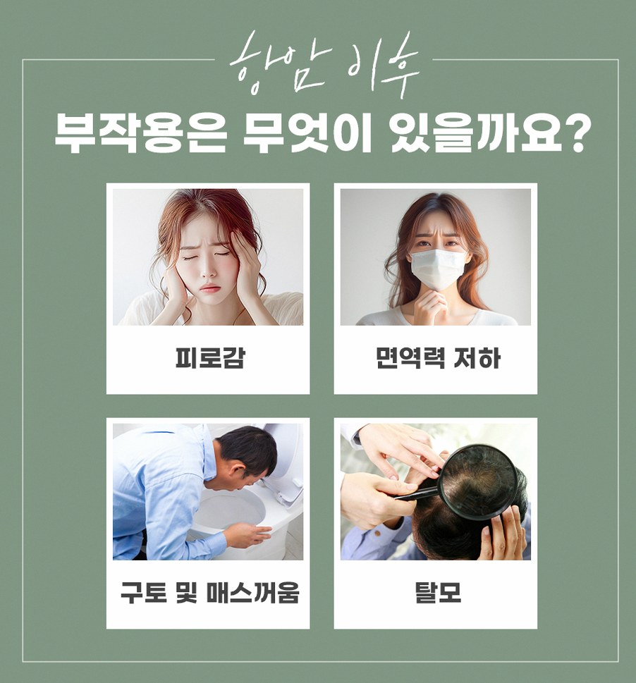 본문 내용을 보조하는 이미지