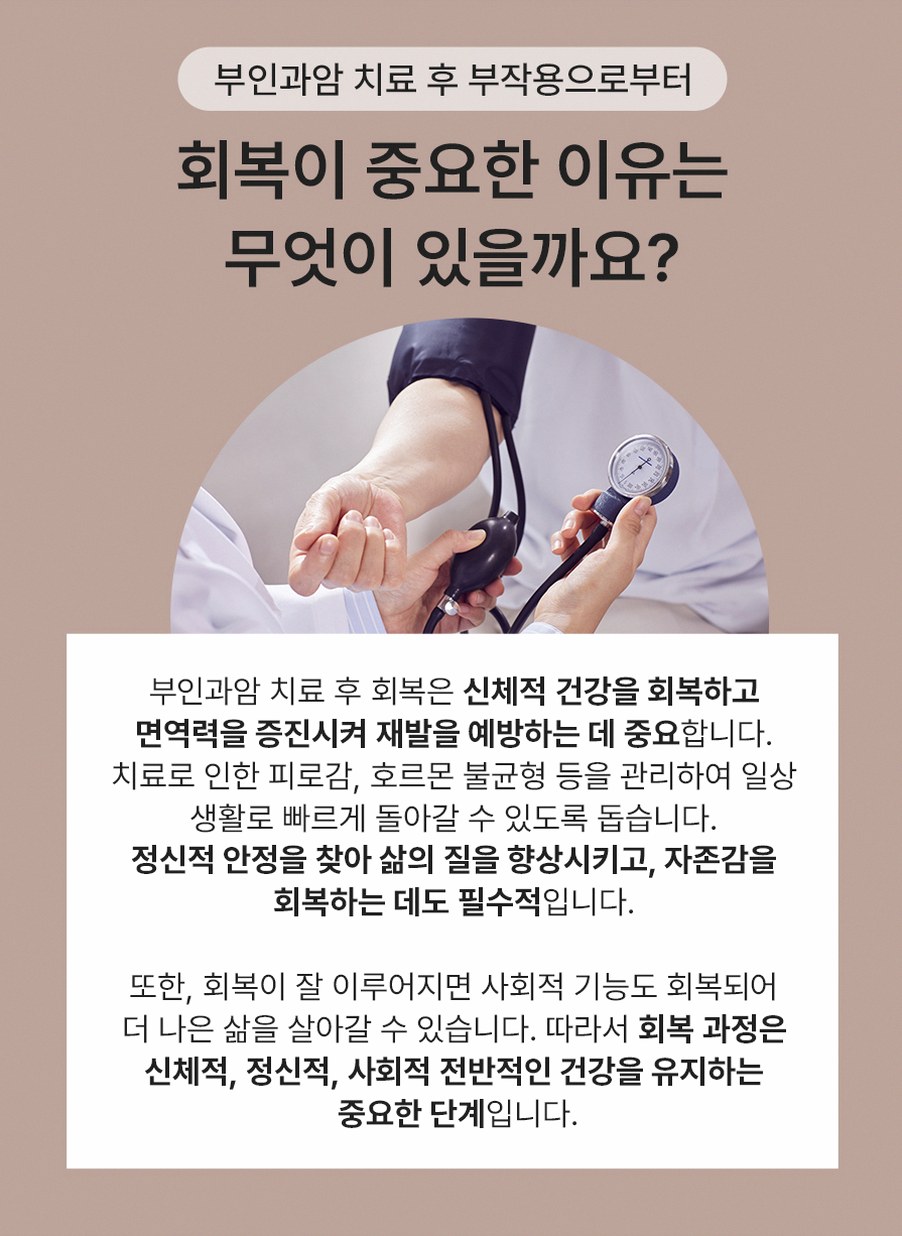 본문 내용을 보조하는 이미지