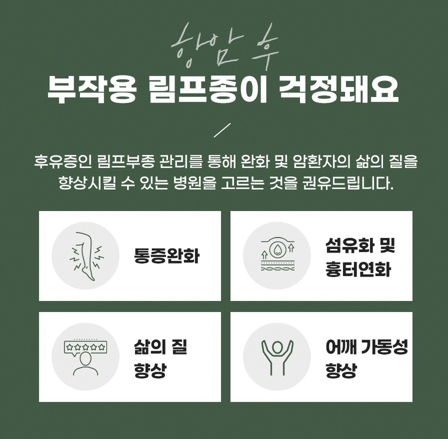 본문 내용을 보조하는 이미지