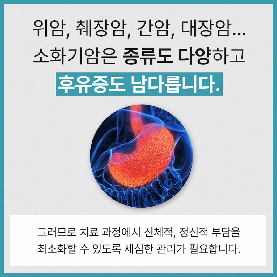 본문 내용을 보조하는 이미지