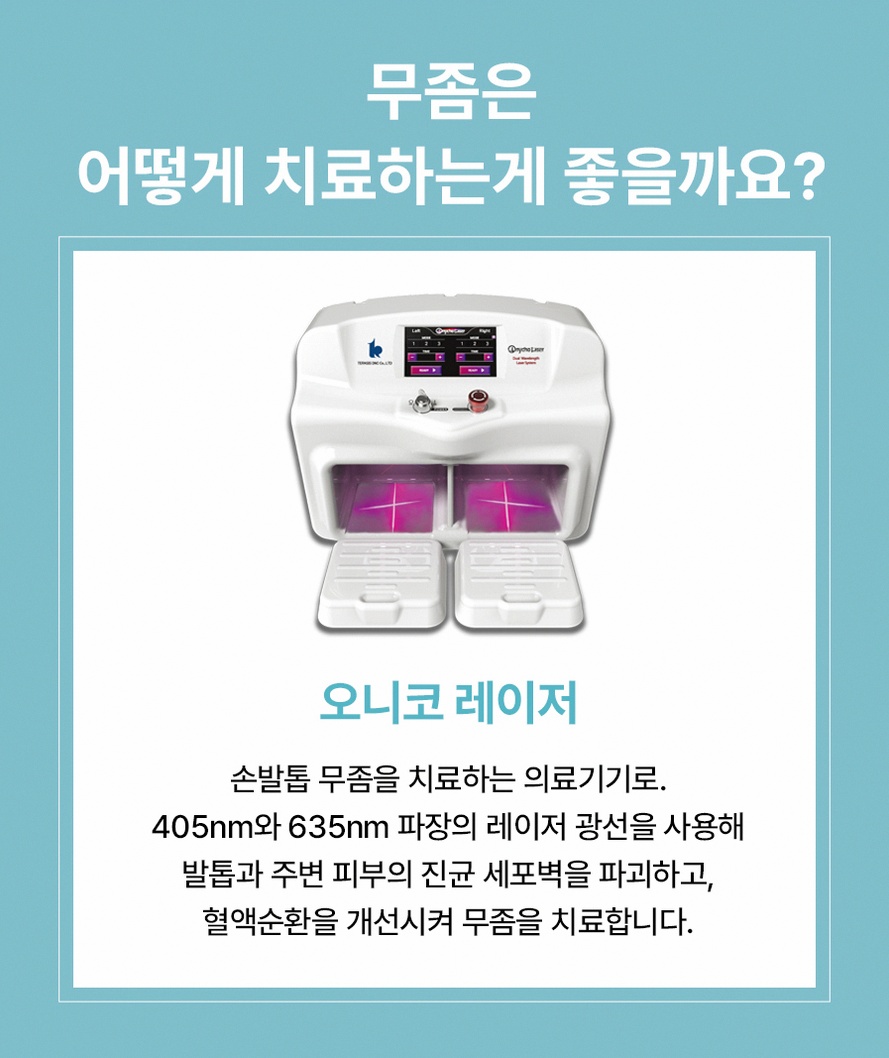 본문 내용을 보조하는 이미지