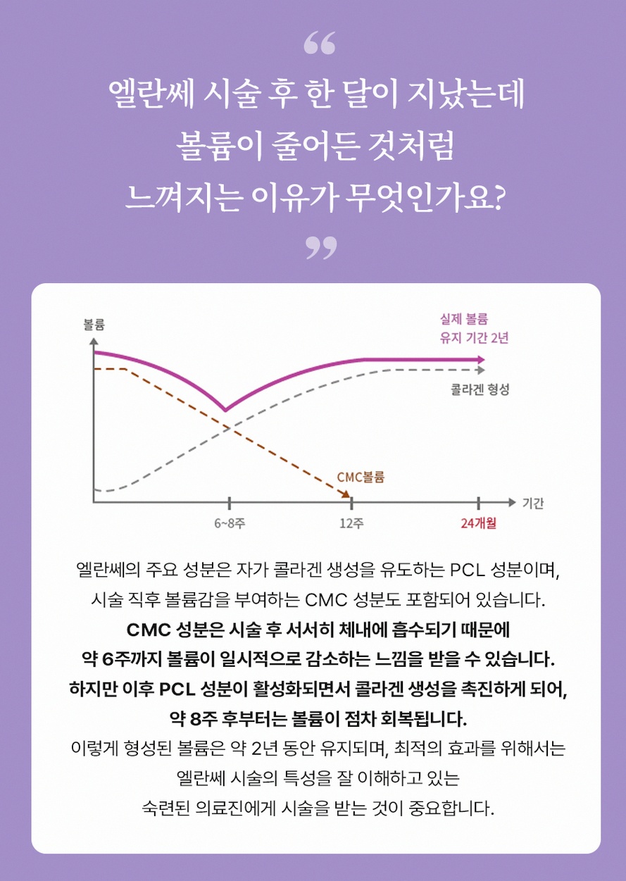 본문 내용을 보조하는 이미지
