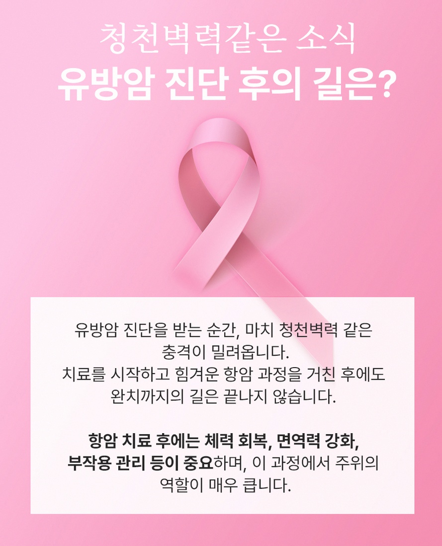 본문 내용을 보조하는 이미지
