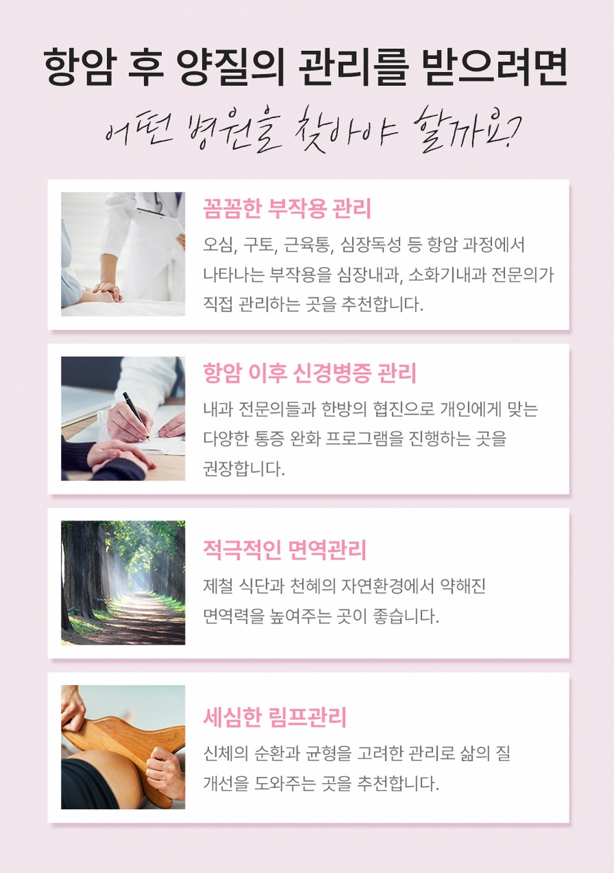 본문 내용을 보조하는 이미지