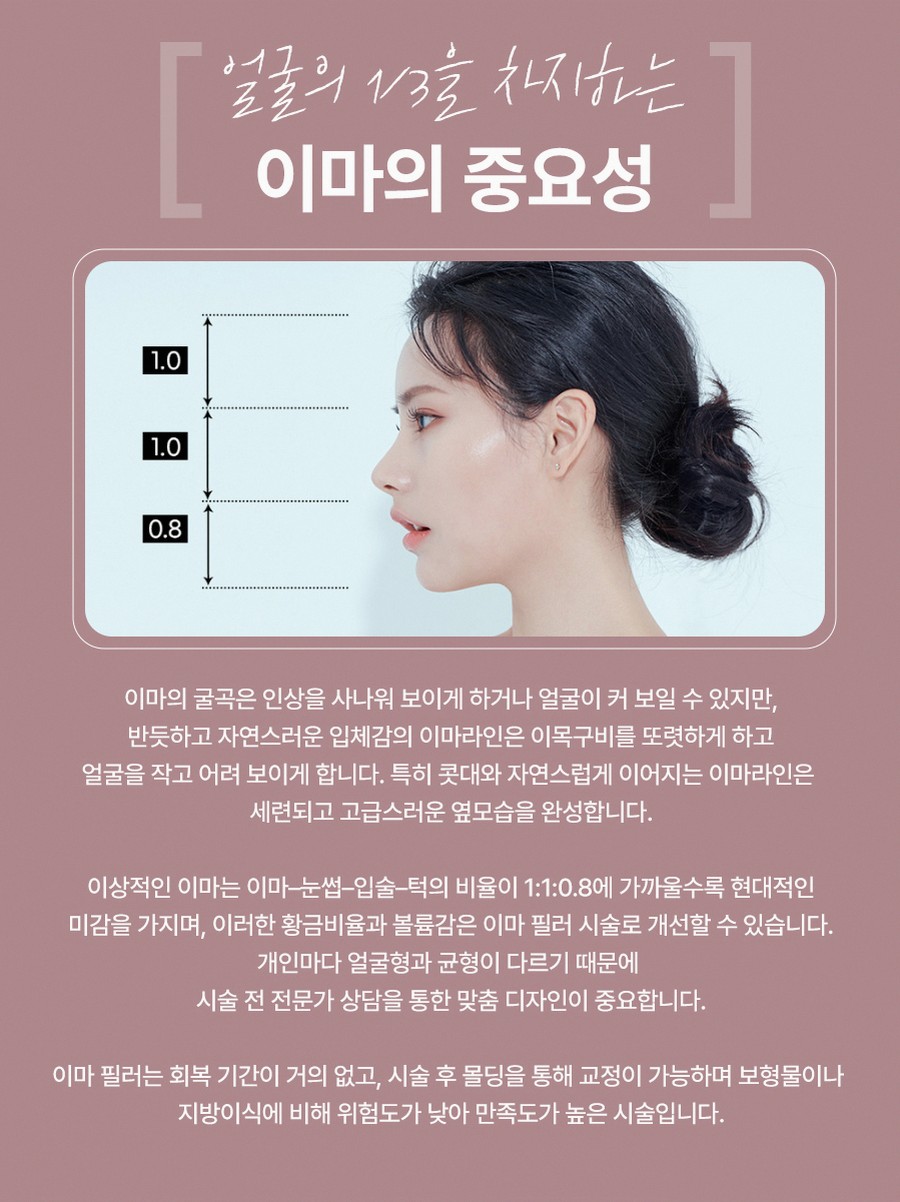 본문 내용을 보조하는 이미지