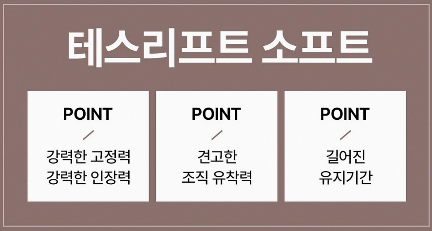 본문 내용을 보조하는 이미지