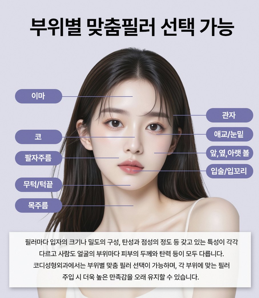 본문 내용을 보조하는 이미지
