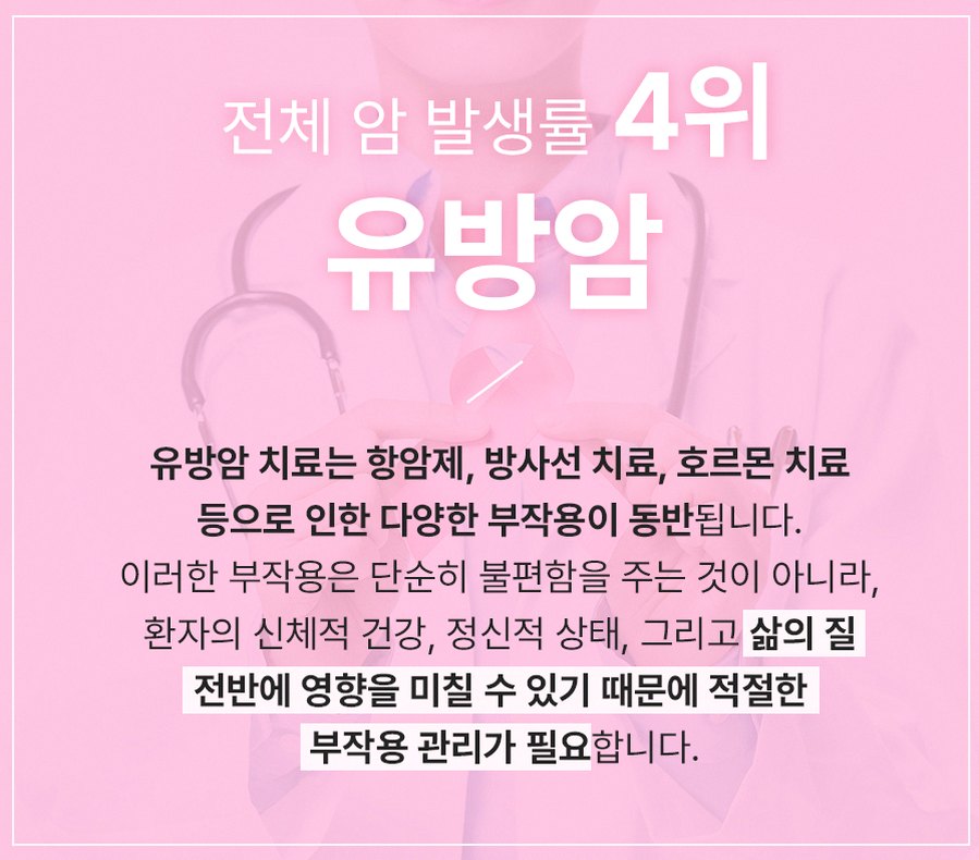 본문 내용을 보조하는 이미지
