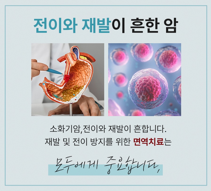 본문 내용을 보조하는 이미지