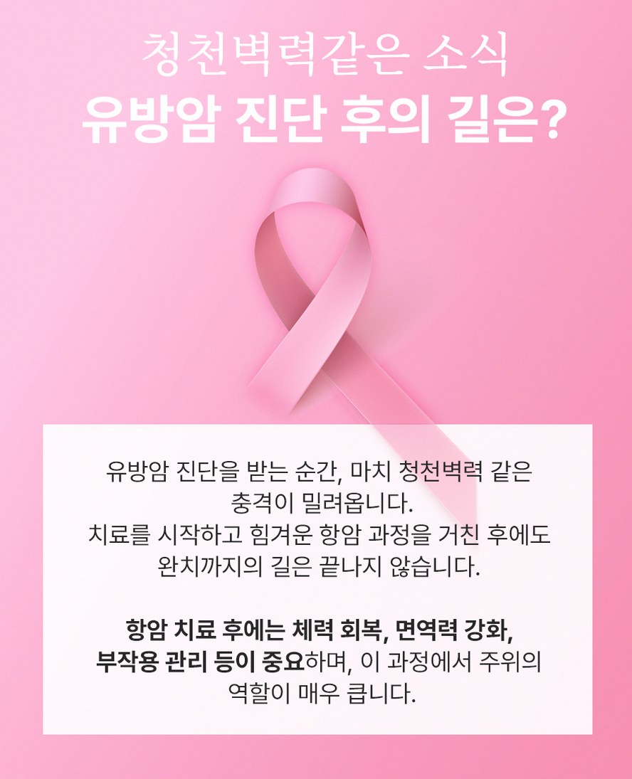 본문 내용을 보조하는 이미지