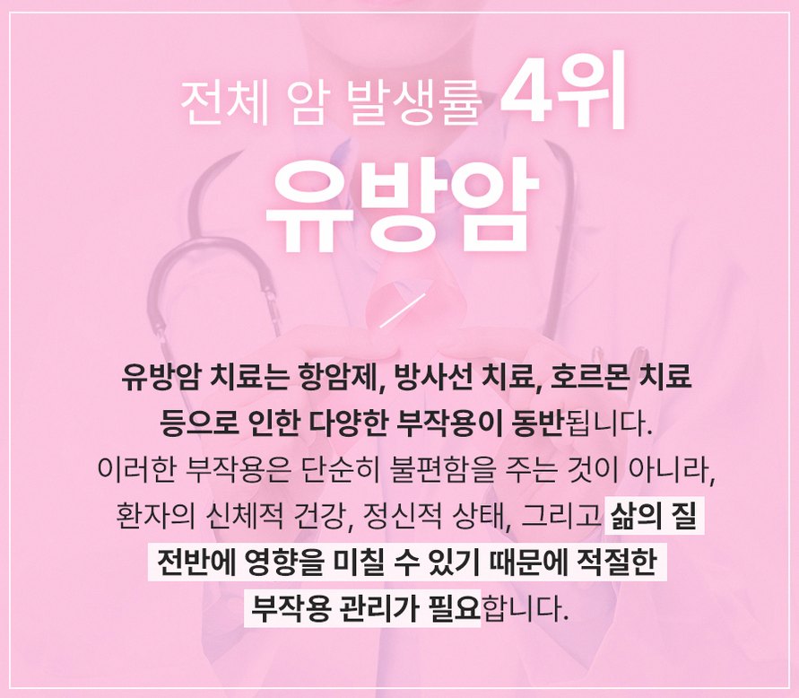 본문 내용을 보조하는 이미지