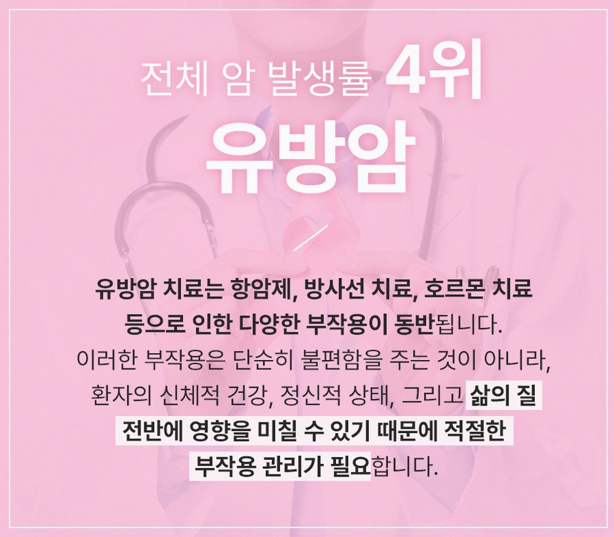 본문 내용을 보조하는 이미지