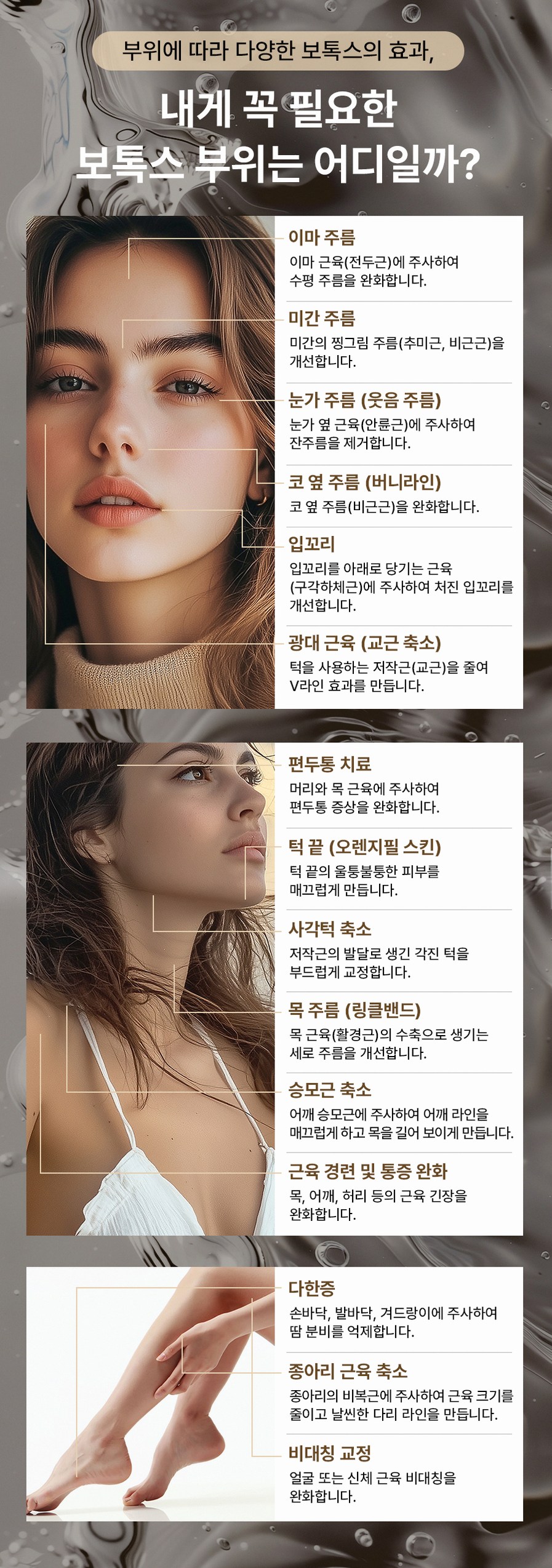 본문 내용을 보조하는 이미지