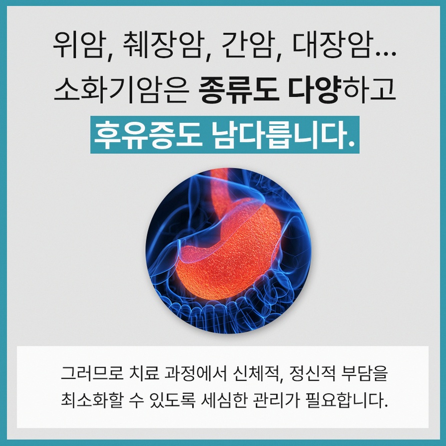 본문 내용을 보조하는 이미지
